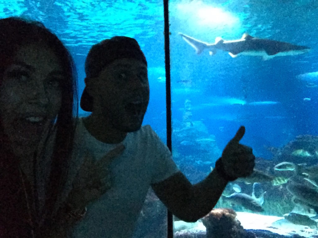 Aquarium barcelona shark swim with sharks